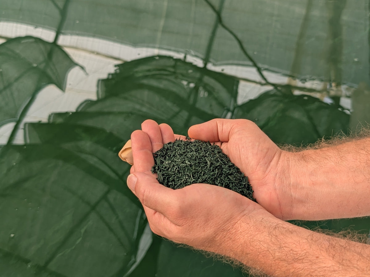 Riche en Antioxydants (25+%)