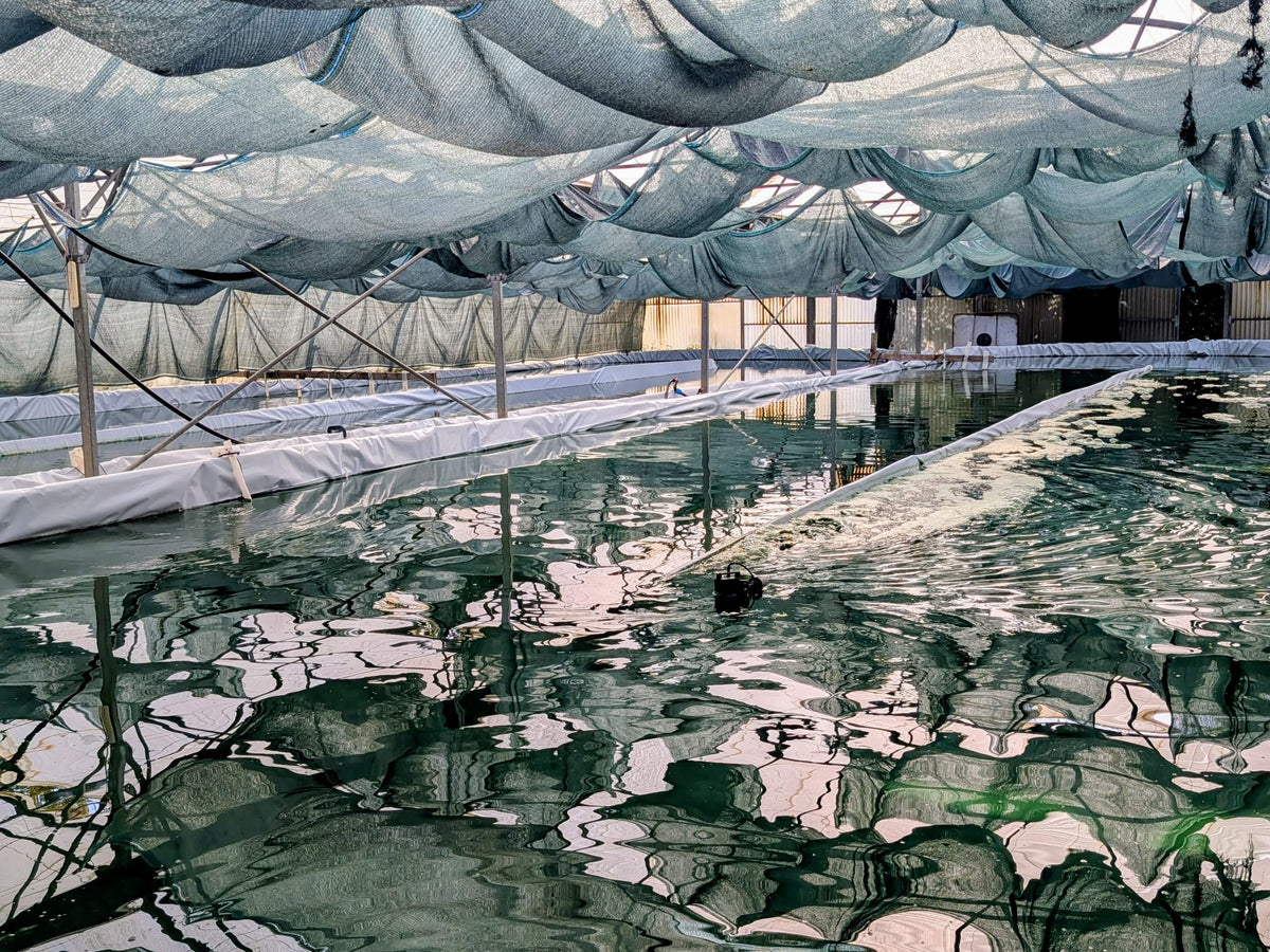 Alimenté par énergie solaire