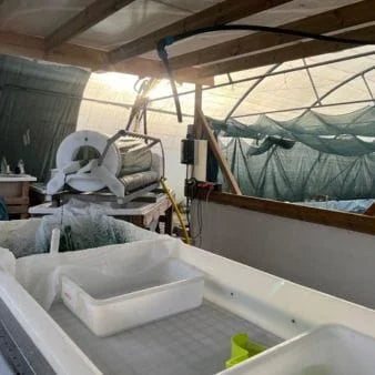 Riche en Antioxydants (25+%)