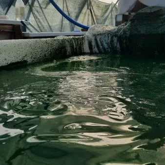 Critères de qualité