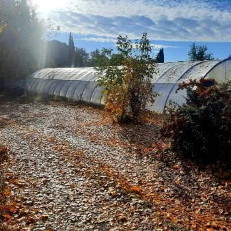 La création de la Ferme
