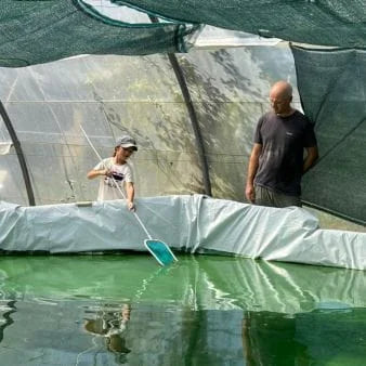 Production et Qualité